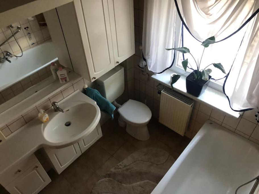 Ferienwohnung In Golssen/Spreewald, Tropical Island エクステリア 写真